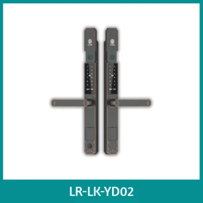 LEROND weatherproof smart garden gate lock with IP68 rating and anti-corrosion finish.