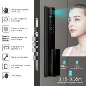 Keyless Entry Exterior Door Lock with Different Unlocking Methods