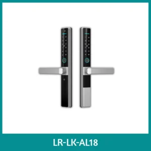 LR-LK-AL18 Double Sided Smart Lock for Secure Two-Side Access Double Sided Smart Lock for Secure Two-Side Access