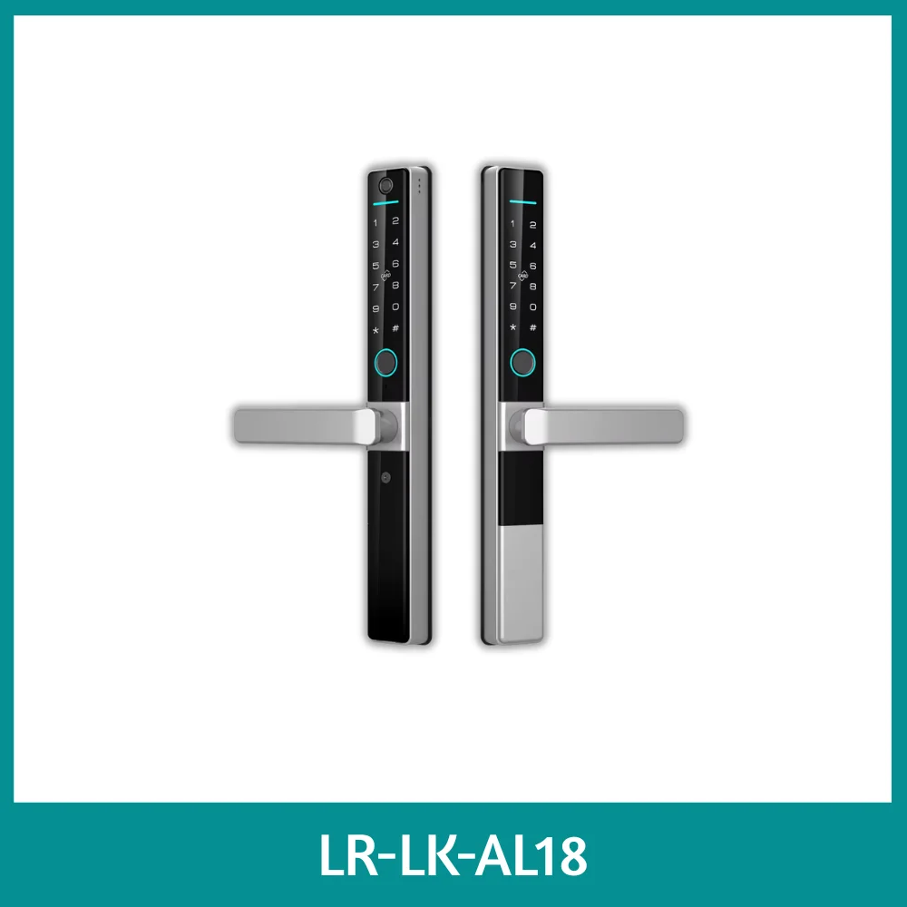 Double Sided Smart Lock for Secure Two-Side Access