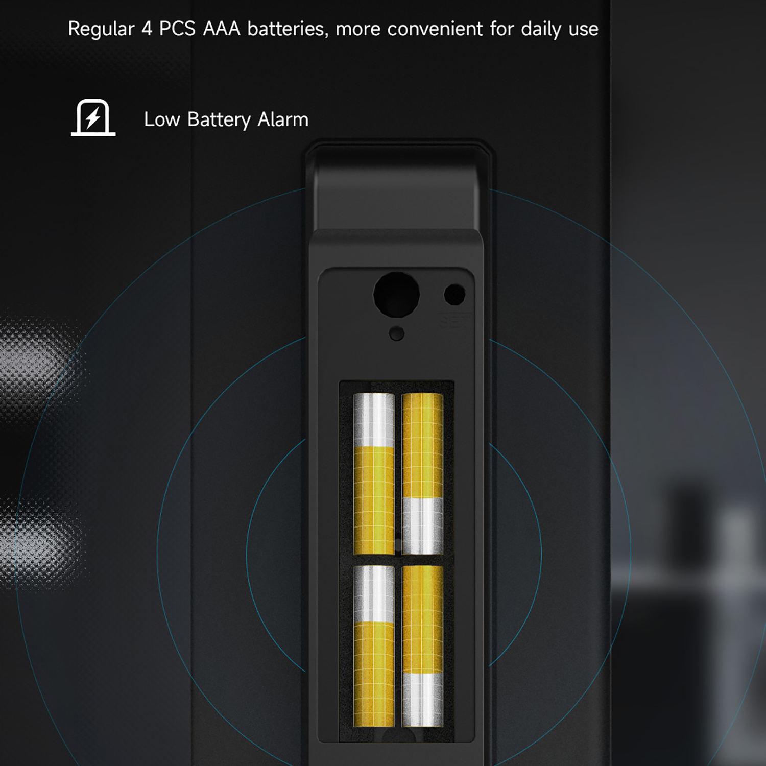 Alkaline Battery for Smart Door Lock