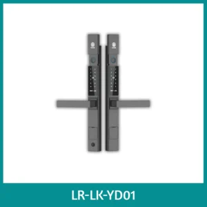 Courtyard Door Smart Lock LK-YD01