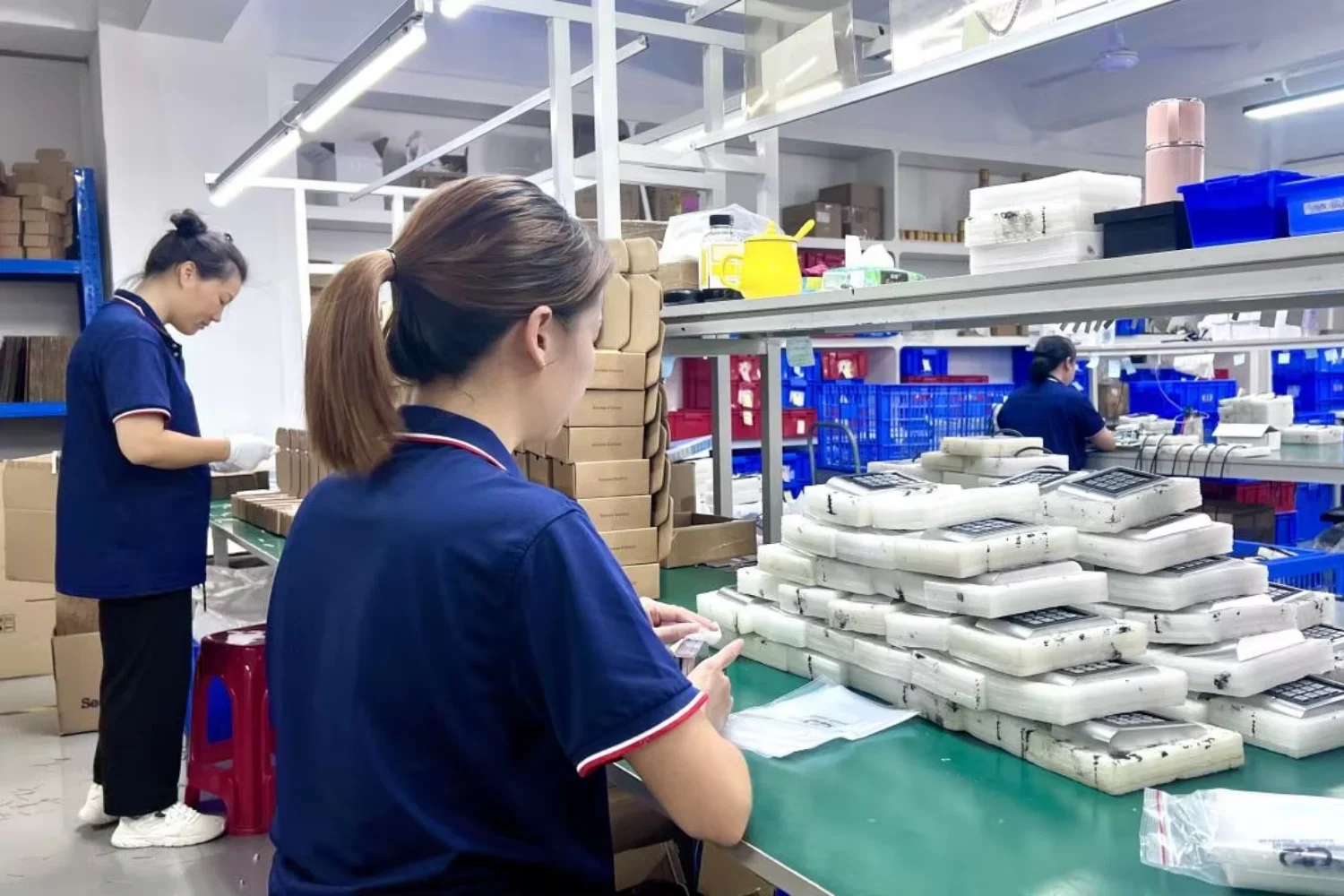 Packaging Process | Access Control System Supplier LEROND
